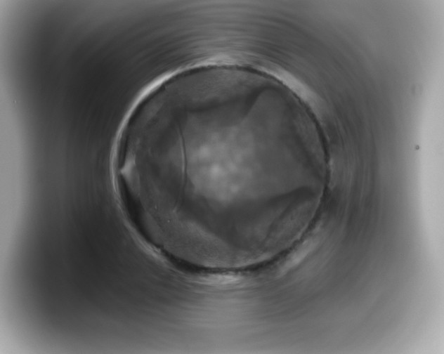 X0000099950838200805231320