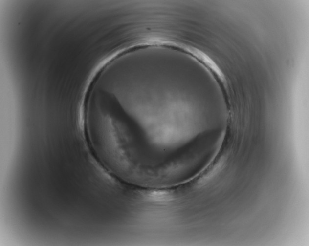 X0000099950839200805231320