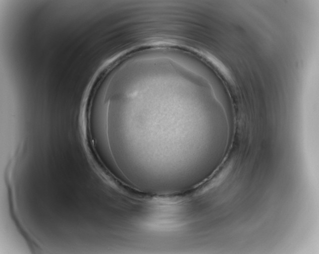 X0000099950840200805231320
