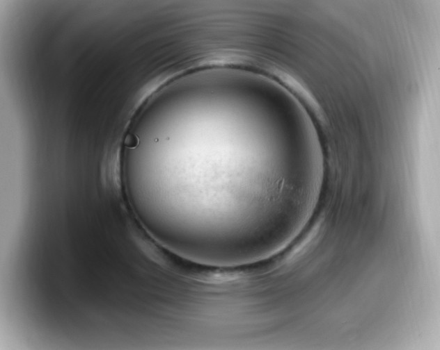 X0000099950842200805231320
