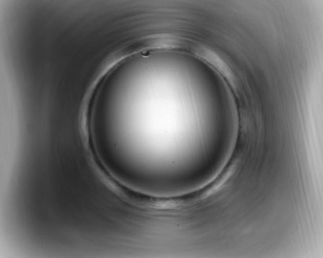 X0000099950843200805231320