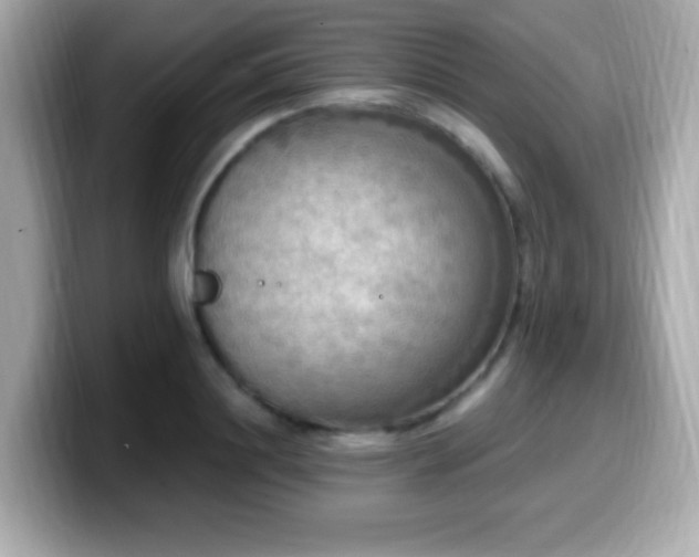 X0000099950844200805231320
