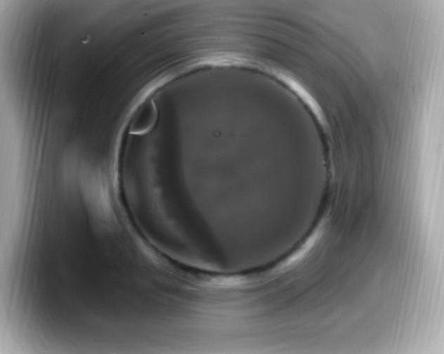 X0000099950845200805231320