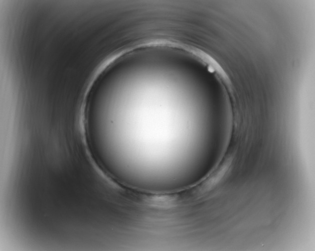 X0000099950847200805231320