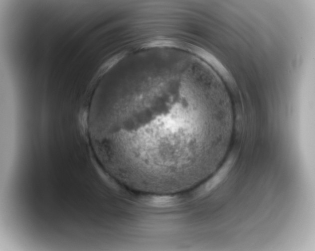 X0000099950849200805231320