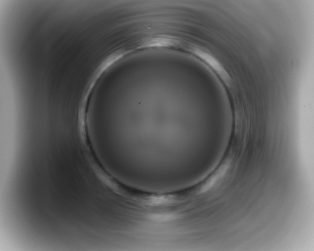 X0000099950850200805231320