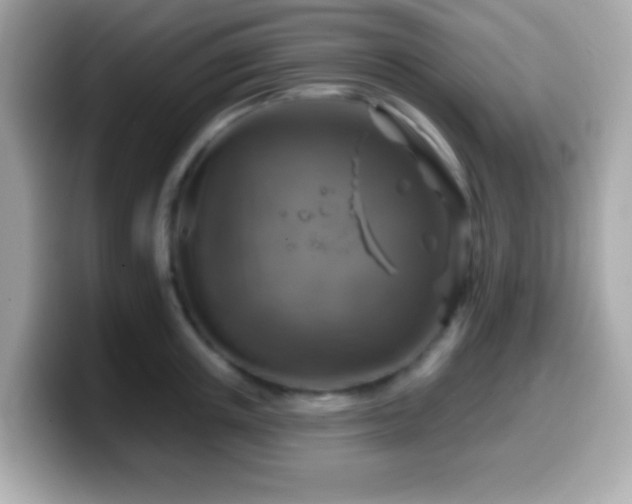 X0000099950851200805231320