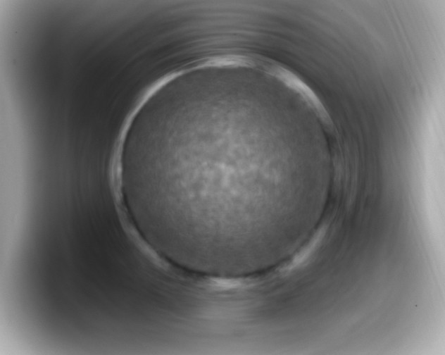 X0000099950852200805231320