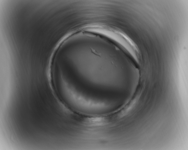 X0000099950853200805231320