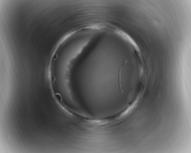 X0000099950855200805231320