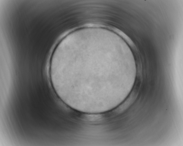 X0000099950856200805231320