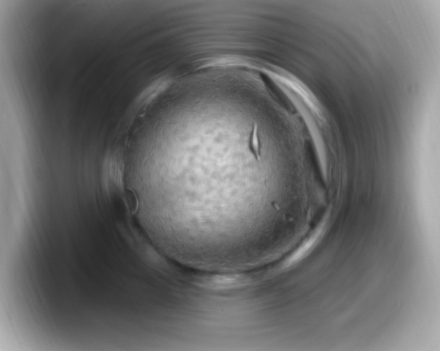 X0000099950857200805231320