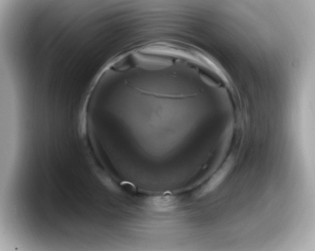 X0000099950858200805231320