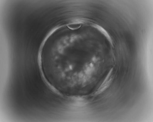 X0000099950859200805231320