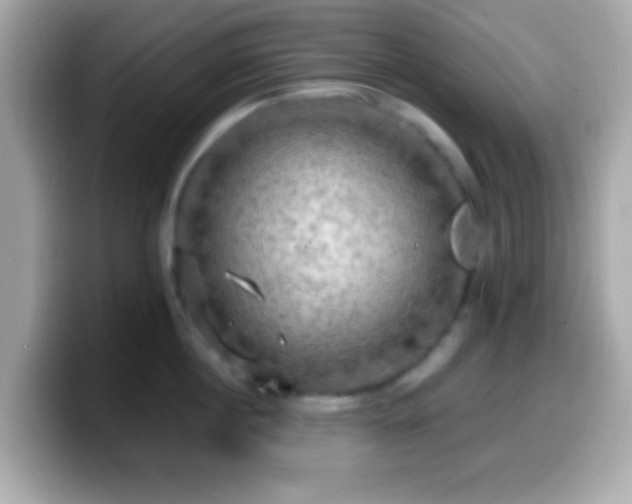 X0000099950860200805231320
