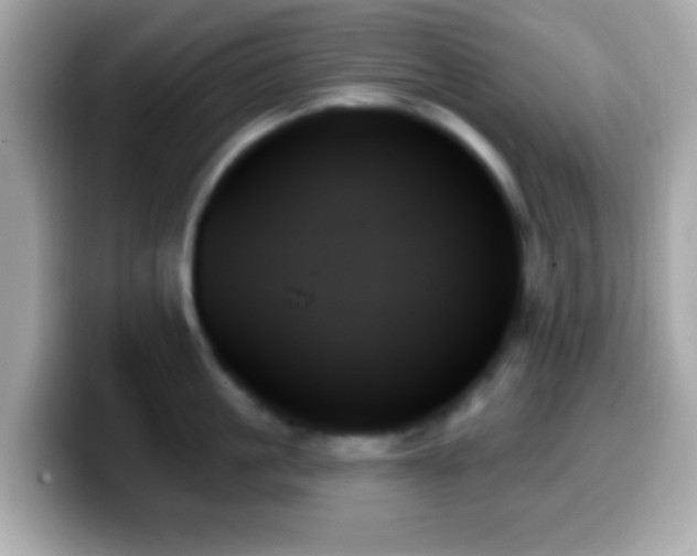 X0000099950861200805231320