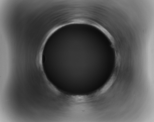 X0000099950862200805231320