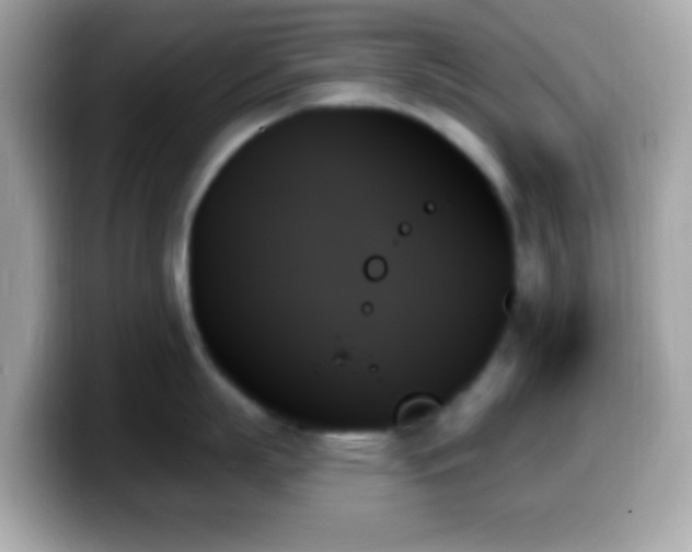 X0000099950863200805231320