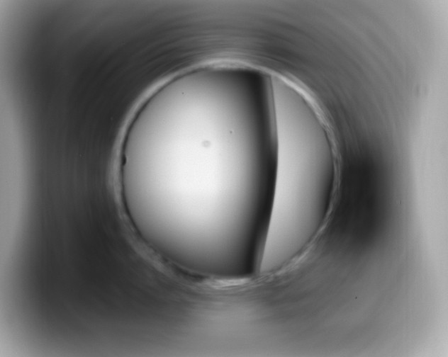 X0000099950864200805231320