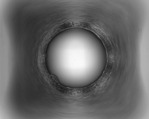 X0000099950865200805231320