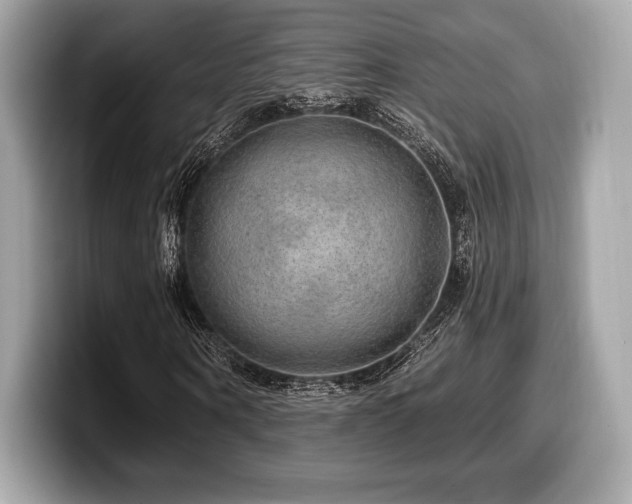 X0000099950866200805231320