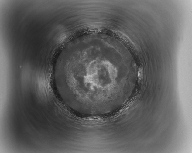 X0000099950867200805231320