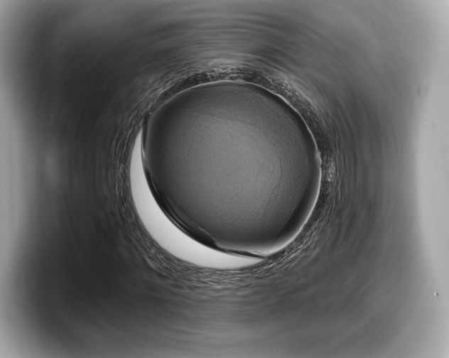 X0000099950868200805231320
