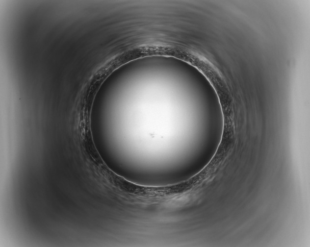 X0000099950870200805231320
