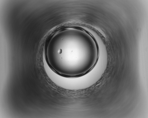 X0000099950872200805231320