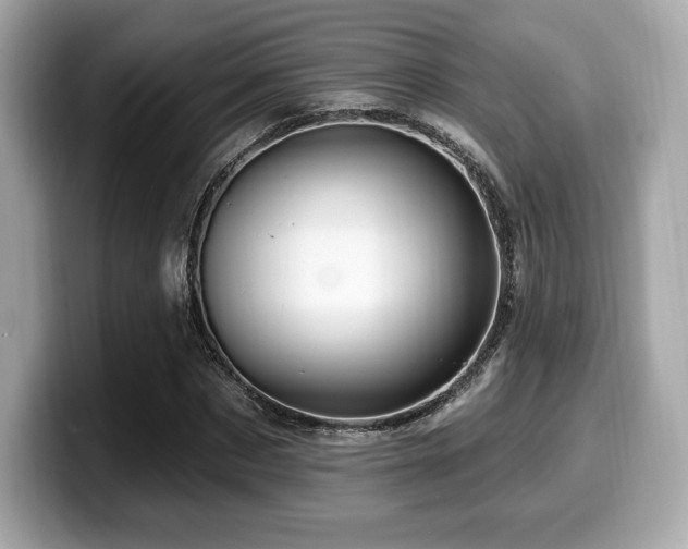 X0000099950873200805231320