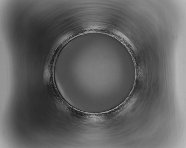X0000099950874200805231319