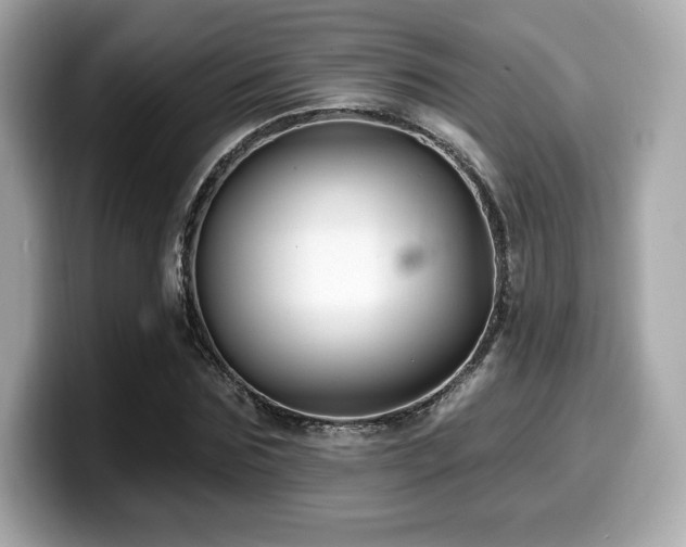 X0000099950875200805231319