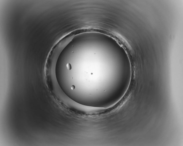 X0000099950876200805231319