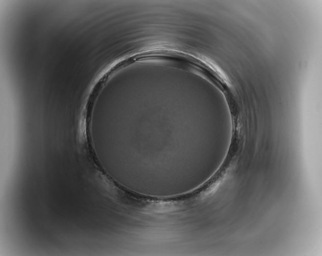 X0000099950877200805231319