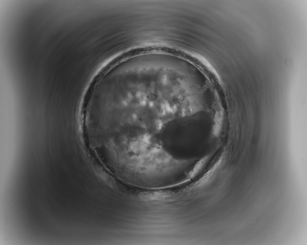 X0000099950879200805231319