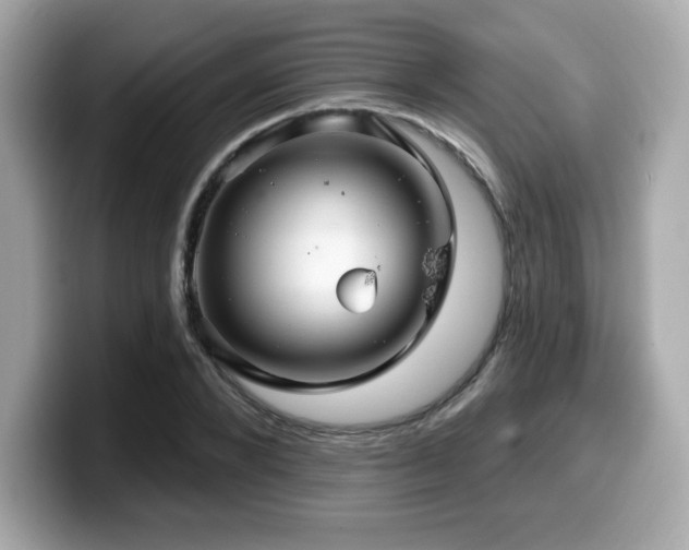 X0000099950880200805231319
