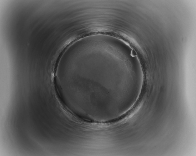 X0000099950881200805231319