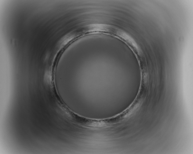 X0000099950882200805231319