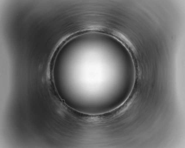 X0000099950883200805231319