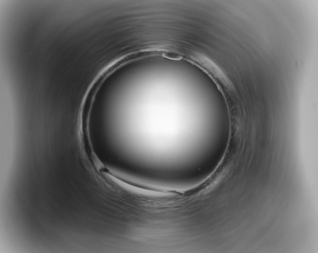 X0000099950884200805231319