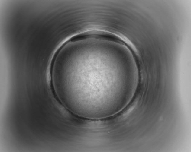 X0000099950885200805231319