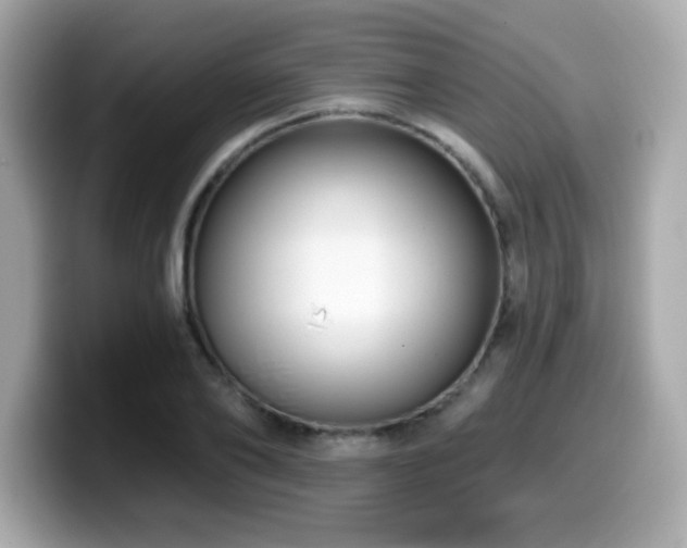 X0000099950886200805231319