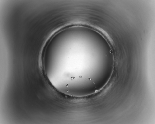 X0000099950887200805231319
