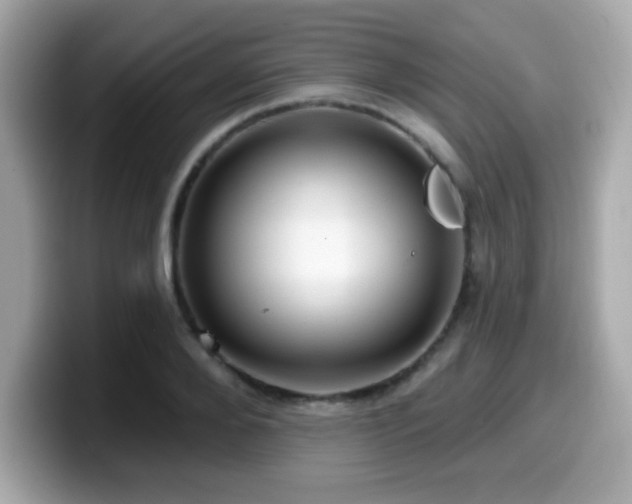 X0000099950888200805231319