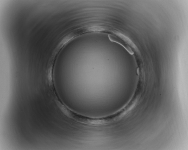 X0000099950889200805231319