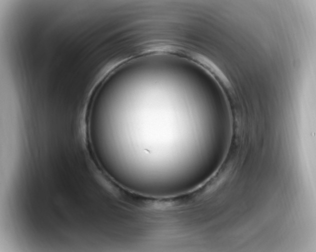 X0000099950890200805231319