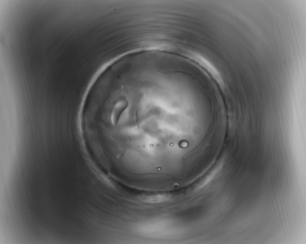 X0000099950891200805231319