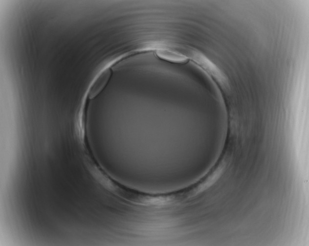 X0000099950892200805231319