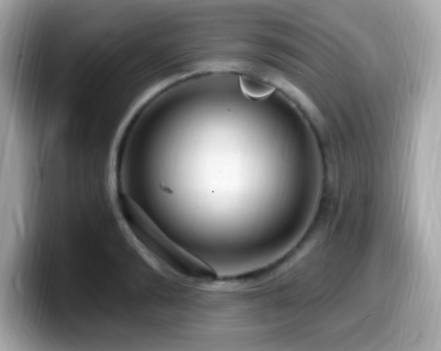 X0000099950894200805231319