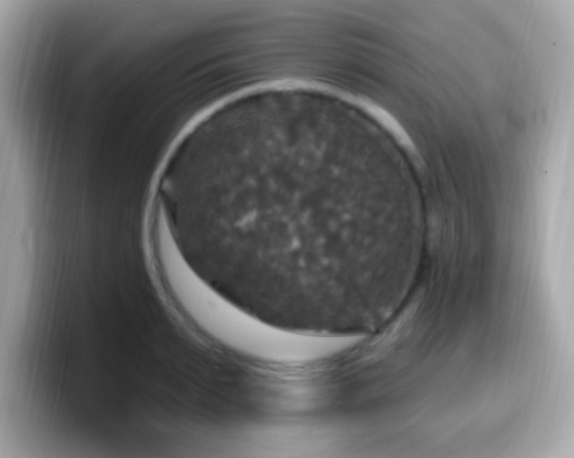 X0000099950895200805231319